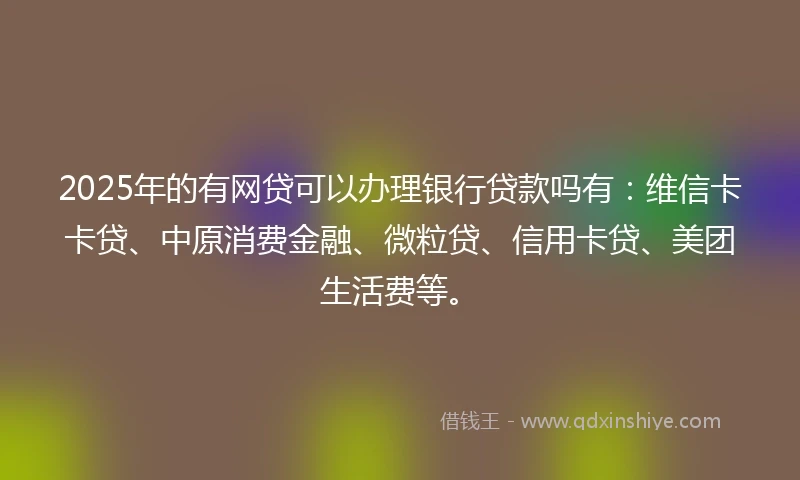 2025年的有网贷可以办理银行贷款吗有：维信卡卡贷、中原消费金融、微粒贷、信用卡贷、美团生活费等。