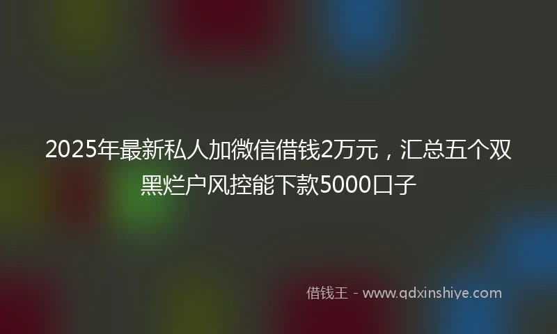 2025年最新私人加微信借钱2万元，汇总五个双黑烂户风控能下款5000口子