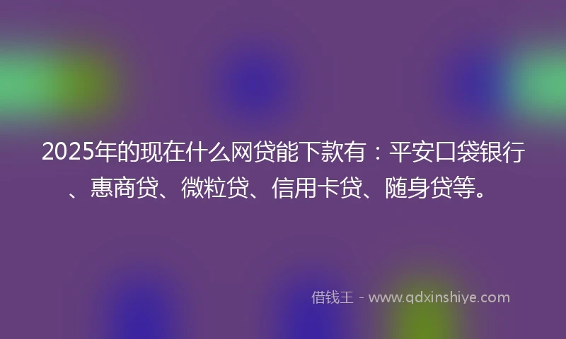 2025年的现在什么网贷能下款有：平安口袋银行、惠商贷、微粒贷、信用卡贷、随身贷等。