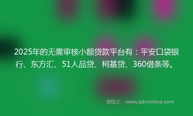 2025年的无需审核小额贷款平台有：平安口袋银行、东方汇、51人品贷、柯基贷、360借条等。
