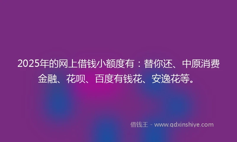 2025年的网上借钱小额度有：替你还、中原消费金融、花呗、百度有钱花、安逸花等。
