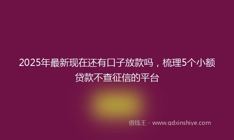 2025年最新现在还有口子放款吗，梳理5个小额贷款不查征信的平台