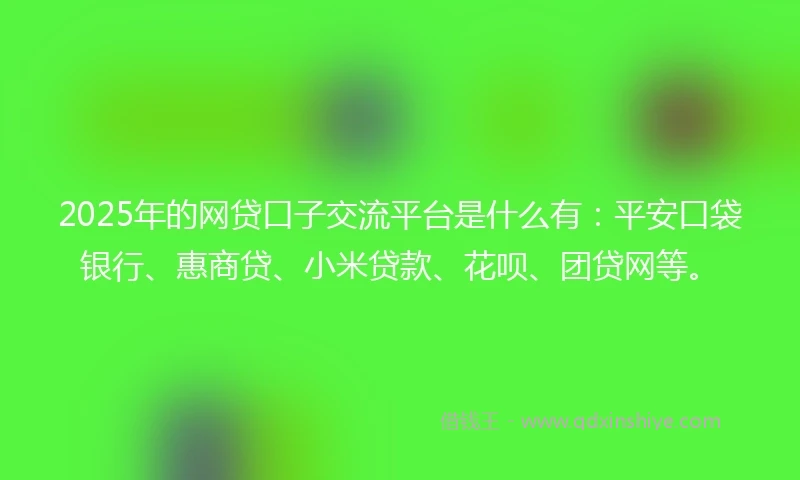 2025年的网贷口子交流平台是什么有：平安口袋银行、惠商贷、小米贷款、花呗、团贷网等。