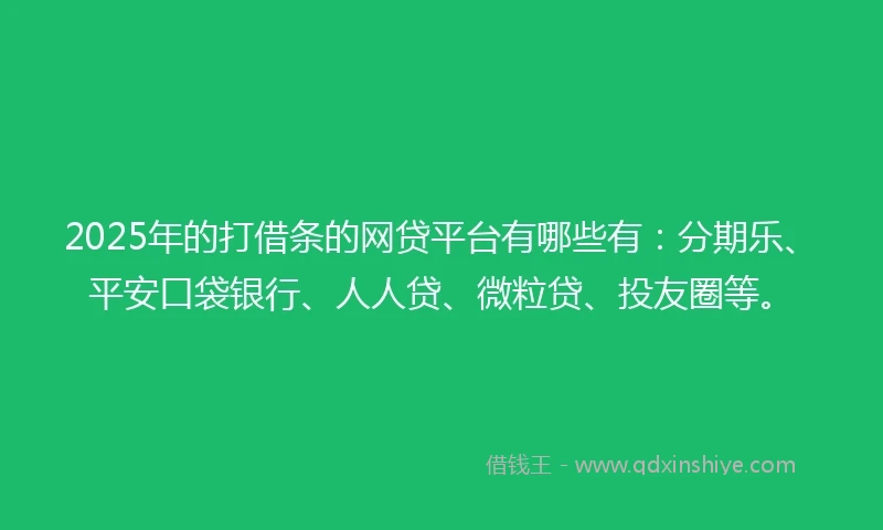 2025年的打借条的网贷平台有哪些有：分期乐、平安口袋银行、人人贷、微粒贷、投友圈等。