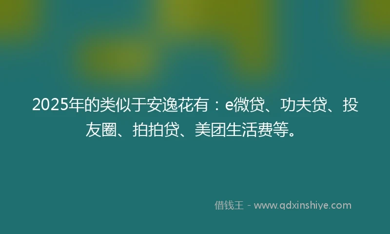 2025年的类似于安逸花有：e微贷、功夫贷、投友圈、拍拍贷、美团生活费等。