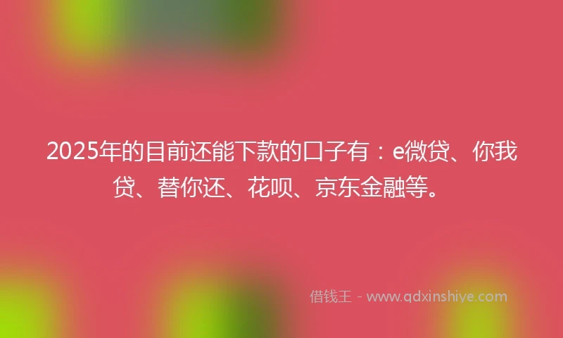 2025年的目前还能下款的口子有：e微贷、你我贷、替你还、花呗、京东金融等。