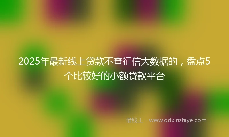 2025年最新线上贷款不查征信大数据的，盘点5个比较好的小额贷款平台