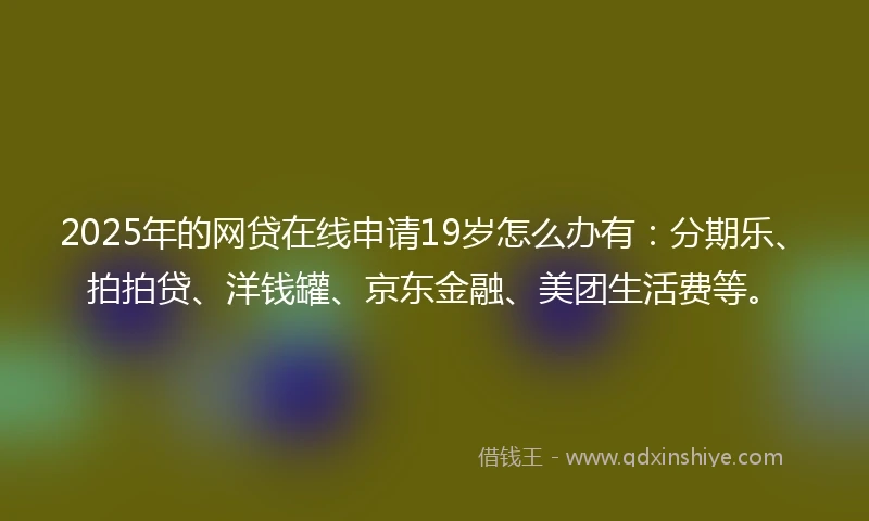 2025年的网贷在线申请19岁怎么办有：分期乐、拍拍贷、洋钱罐、京东金融、美团生活费等。