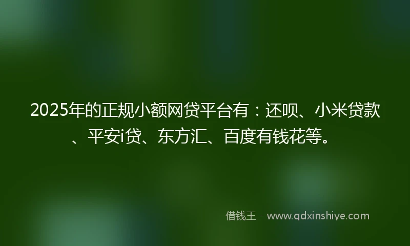 2025年的正规小额网贷平台有：还呗、小米贷款、平安i贷、东方汇、百度有钱花等。