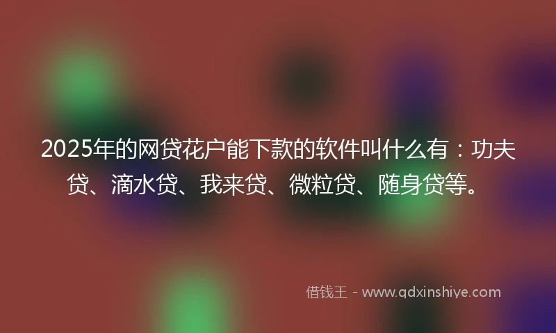 2025年的网贷花户能下款的软件叫什么有：功夫贷、滴水贷、我来贷、微粒贷、随身贷等。