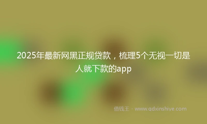 2025年最新网黑正规贷款，梳理5个无视一切是人就下款的app