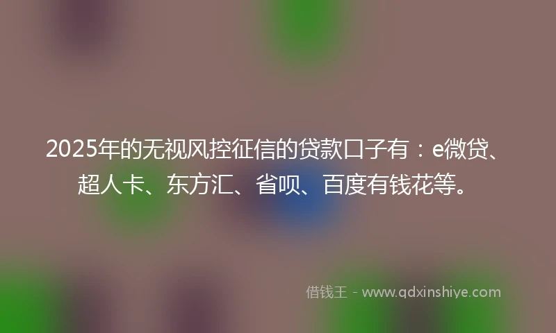 2025年的无视风控征信的贷款口子有：e微贷、超人卡、东方汇、省呗、百度有钱花等。