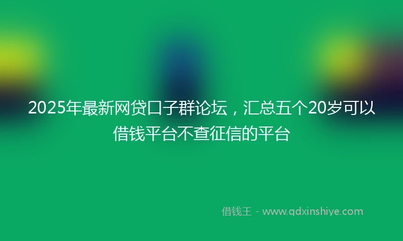 2025年最新网贷口子群论坛，汇总五个20岁可以借钱平台不查征信的平台
