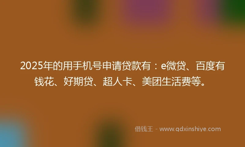2025年的用手机号申请贷款有：e微贷、百度有钱花、好期贷、超人卡、美团生活费等。