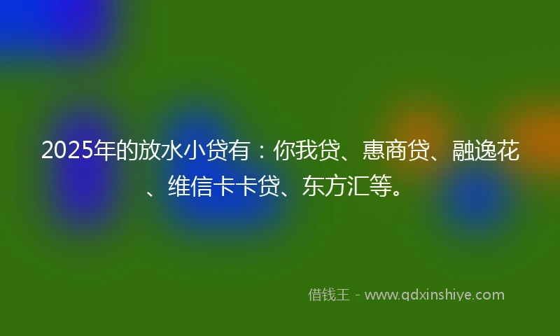 2025年的放水小贷有：你我贷、惠商贷、融逸花、维信卡卡贷、东方汇等。