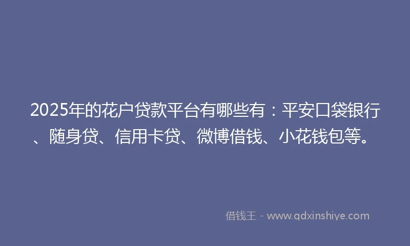 2025年的花户贷款平台有哪些有：平安口袋银行、随身贷、信用卡贷、微博借钱、小花钱包等。