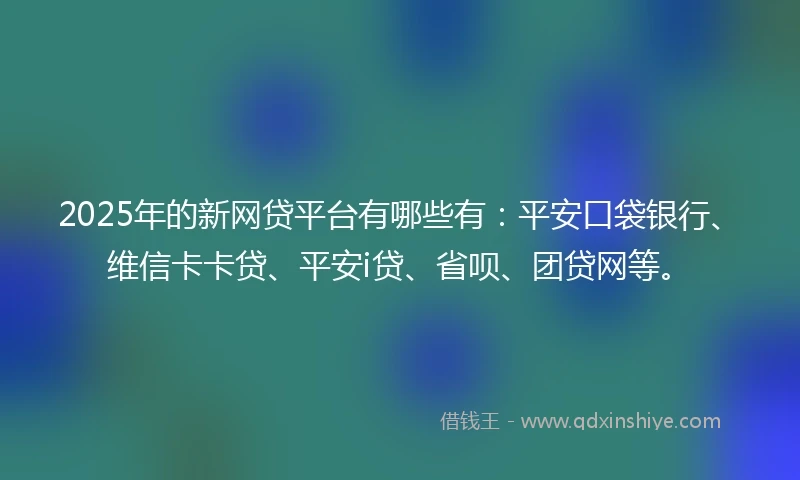 2025年的新网贷平台有哪些有：平安口袋银行、维信卡卡贷、平安i贷、省呗、团贷网等。