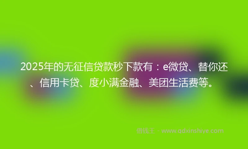 2025年的无征信贷款秒下款有：e微贷、替你还、信用卡贷、度小满金融、美团生活费等。
