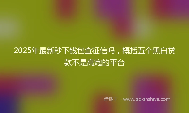 2025年最新秒下钱包查征信吗，概括五个黑白贷款不是高炮的平台