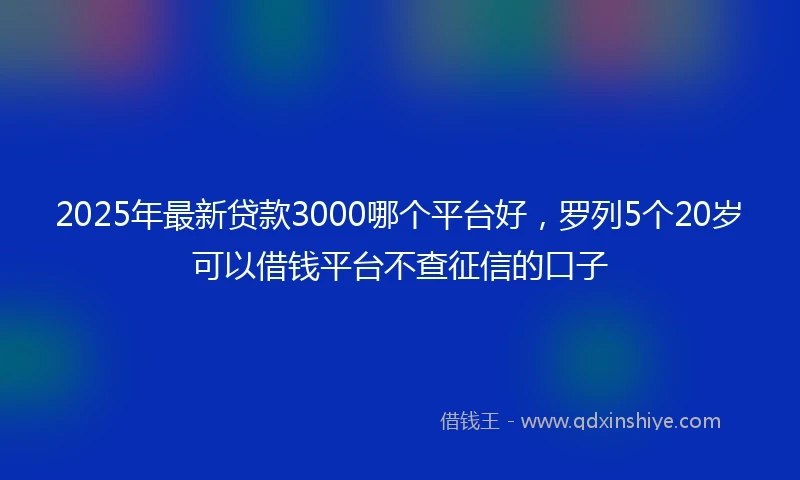 2025年最新贷款3000哪个平台好，罗列5个20岁可以借钱平台不查征信的口子
