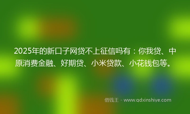 2025年的新口子网贷不上征信吗有：你我贷、中原消费金融、好期贷、小米贷款、小花钱包等。