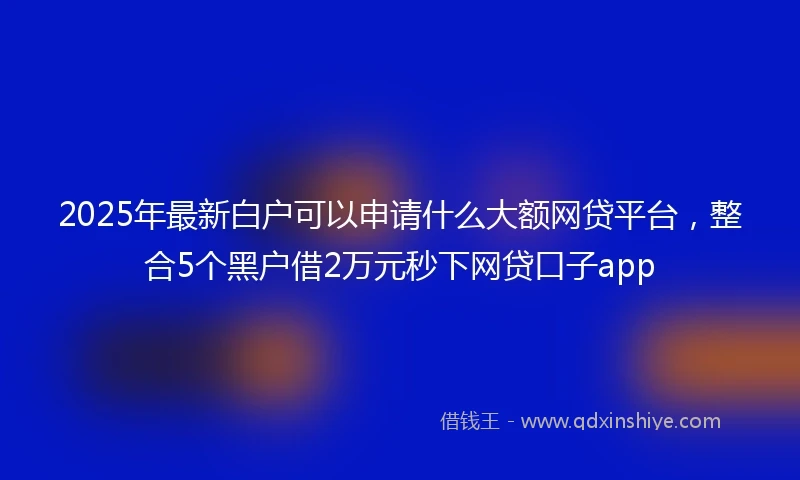 2025年最新白户可以申请什么大额网贷平台，整合5个黑户借2万元秒下网贷口子app