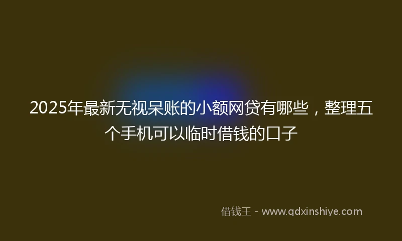 2025年最新无视呆账的小额网贷有哪些，整理五个手机可以临时借钱的口子