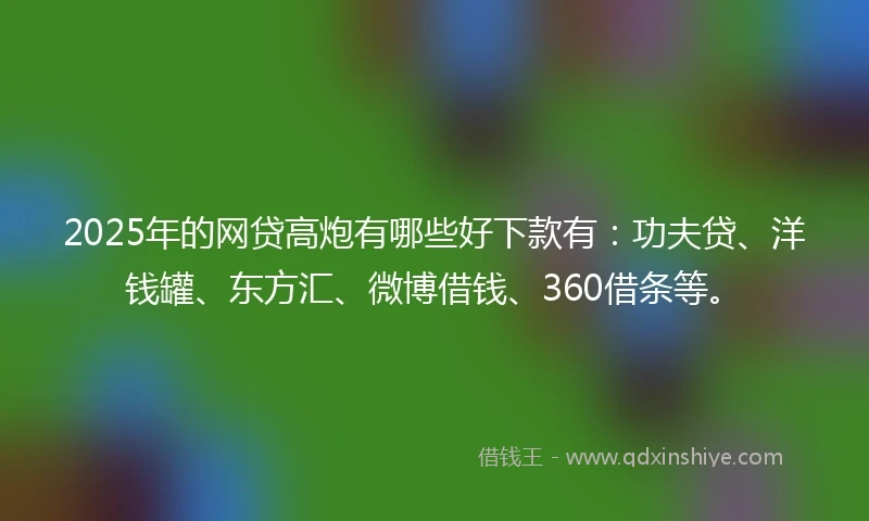 2025年的网贷高炮有哪些好下款有：功夫贷、洋钱罐、东方汇、微博借钱、360借条等。