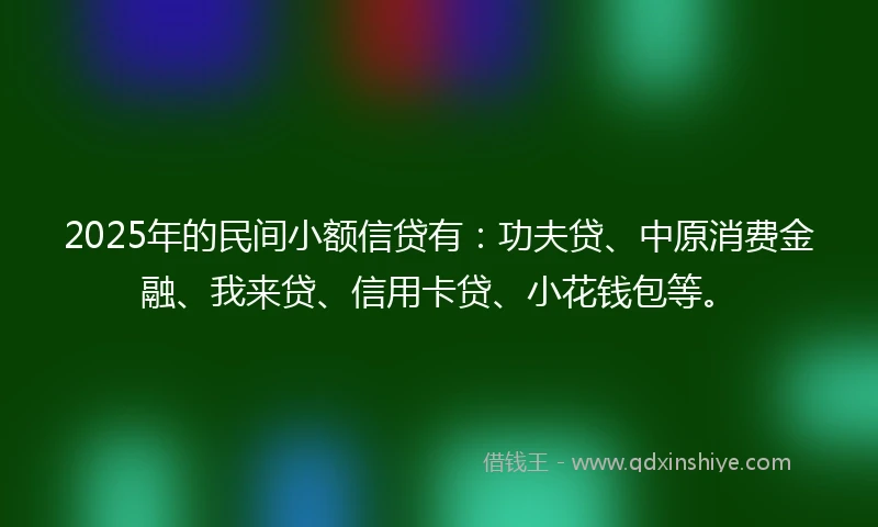 2025年的民间小额信贷有：功夫贷、中原消费金融、我来贷、信用卡贷、小花钱包等。