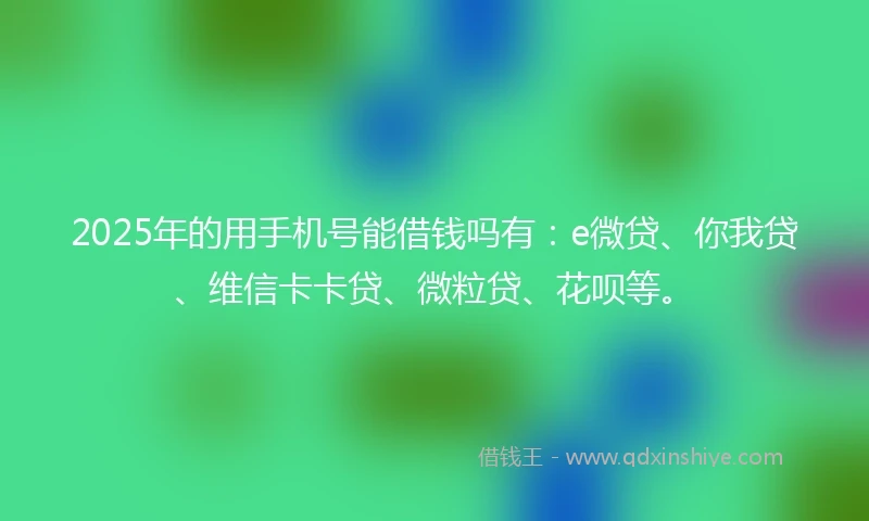 2025年的用手机号能借钱吗有：e微贷、你我贷、维信卡卡贷、微粒贷、花呗等。