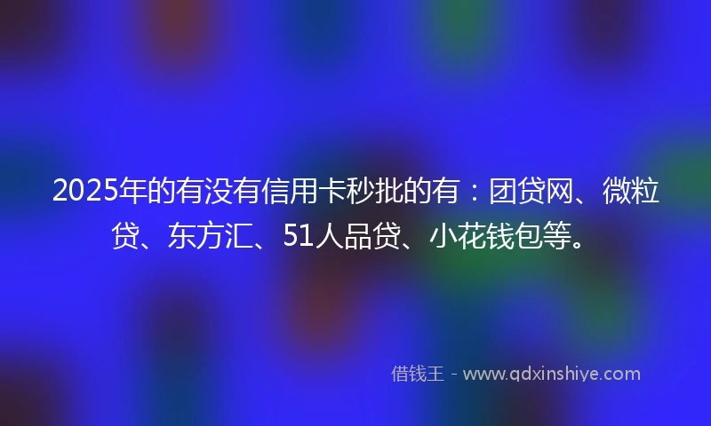 2025年的有没有信用卡秒批的有：团贷网、微粒贷、东方汇、51人品贷、小花钱包等。