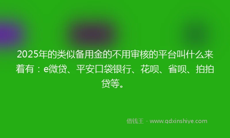 2025年的类似备用金的不用审核的平台叫什么来着有：e微贷、平安口袋银行、花呗、省呗、拍拍贷等。