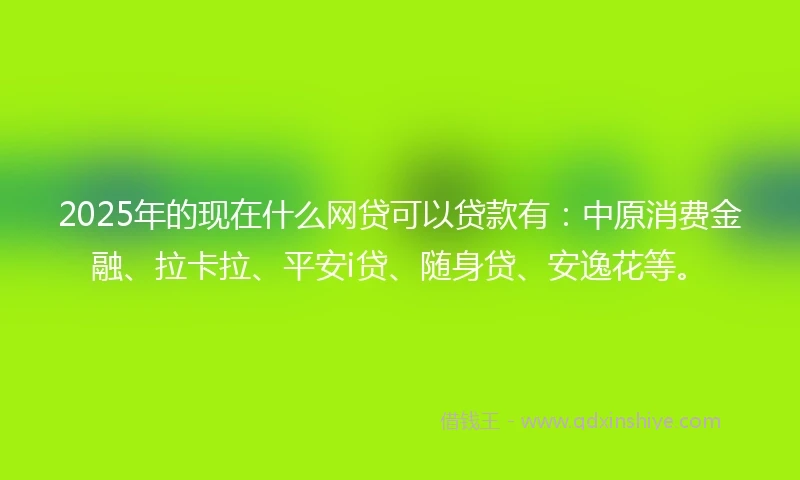 2025年的现在什么网贷可以贷款有：中原消费金融、拉卡拉、平安i贷、随身贷、安逸花等。