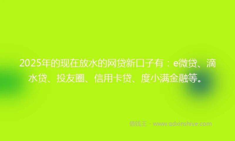 2025年的现在放水的网贷新口子有：e微贷、滴水贷、投友圈、信用卡贷、度小满金融等。
