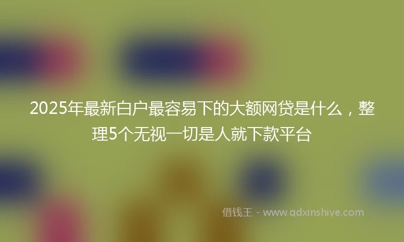 2025年最新白户最容易下的大额网贷是什么，整理5个无视一切是人就下款平台