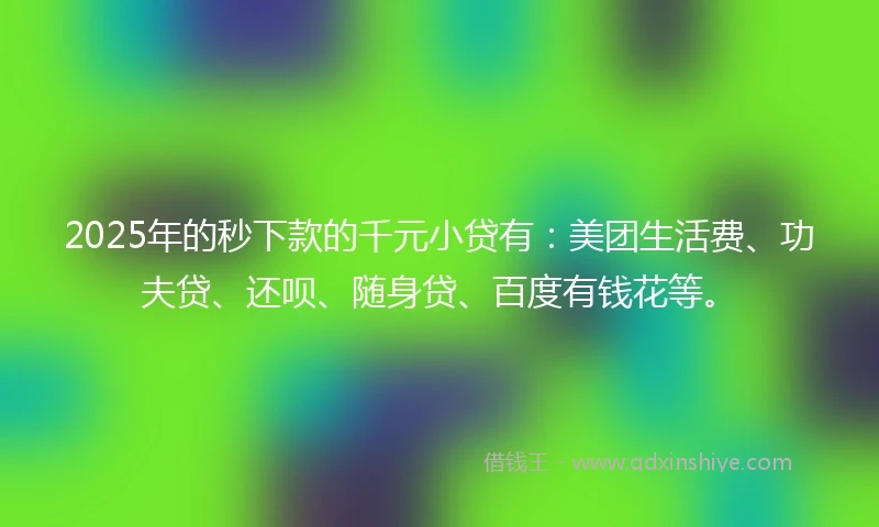 2025年的秒下款的千元小贷有：美团生活费、功夫贷、还呗、随身贷、百度有钱花等。