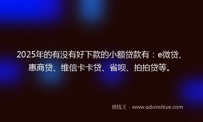 2025年的有没有好下款的小额贷款有:e微贷、惠商贷、维信卡卡贷、省呗、拍拍贷等。