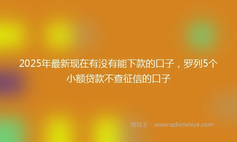 2025年最新现在有没有能下款的口子，罗列5个小额贷款不查征信的口子