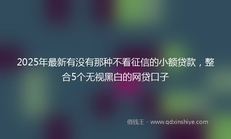 2025年最新有没有那种不看征信的小额贷款，整合5个无视黑白的网贷口子