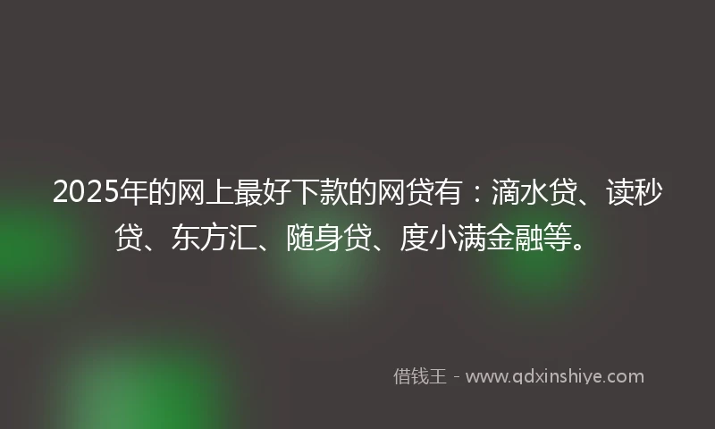 2025年的网上最好下款的网贷有：滴水贷、读秒贷、东方汇、随身贷、度小满金融等。