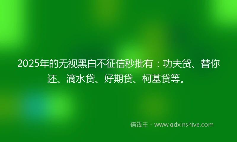 2025年的无视黑白不征信秒批有：功夫贷、替你还、滴水贷、好期贷、柯基贷等。