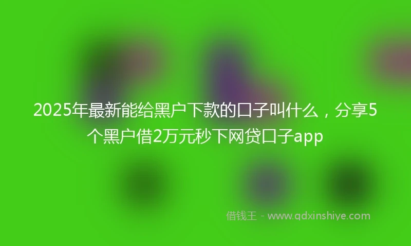 2025年最新能给黑户下款的口子叫什么，分享5个黑户借2万元秒下网贷口子app
