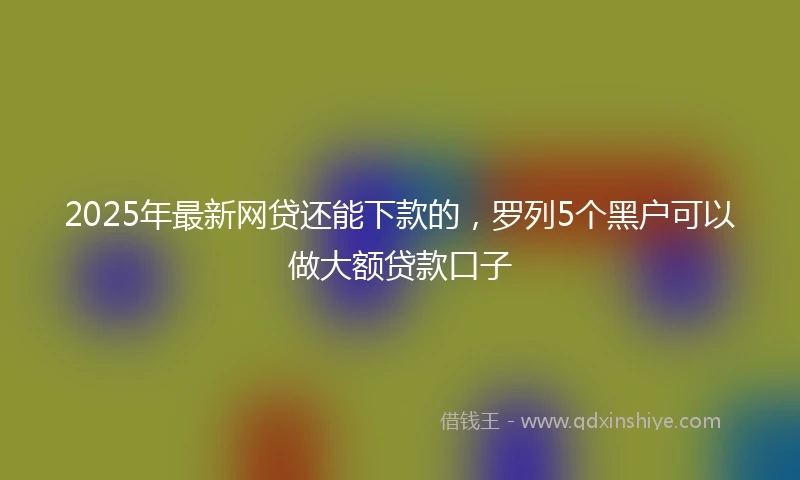 2025年最新网贷还能下款的，罗列5个黑户可以做大额贷款口子