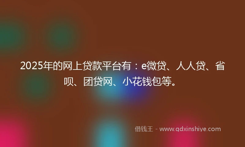 2025年的网上贷款平台有：e微贷、人人贷、省呗、团贷网、小花钱包等。