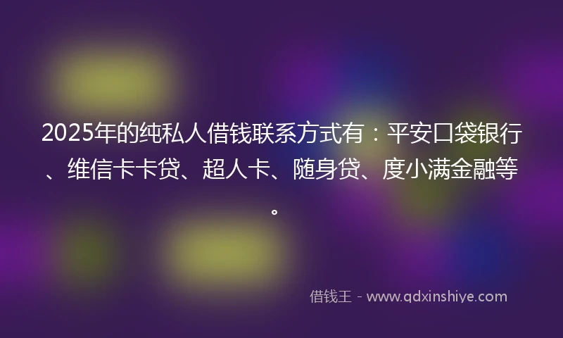 2025年的纯私人借钱联系方式有：平安口袋银行、维信卡卡贷、超人卡、随身贷、度小满金融等。