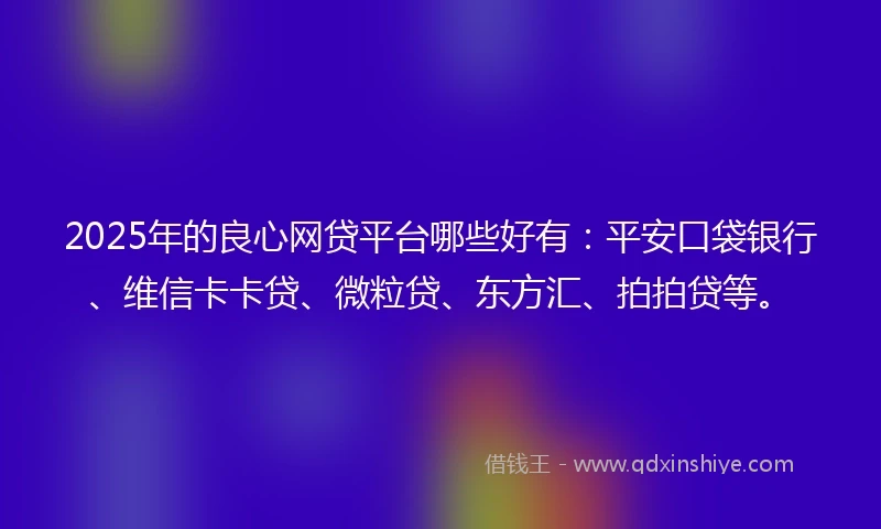 2025年的良心网贷平台哪些好有：平安口袋银行、维信卡卡贷、微粒贷、东方汇、拍拍贷等。