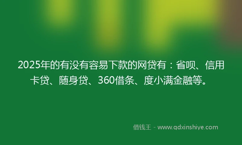 2025年的有没有容易下款的网贷有：省呗、信用卡贷、随身贷、360借条、度小满金融等。