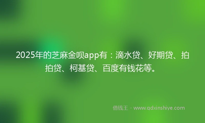 2025年的芝麻金呗app有：滴水贷、好期贷、拍拍贷、柯基贷、百度有钱花等。