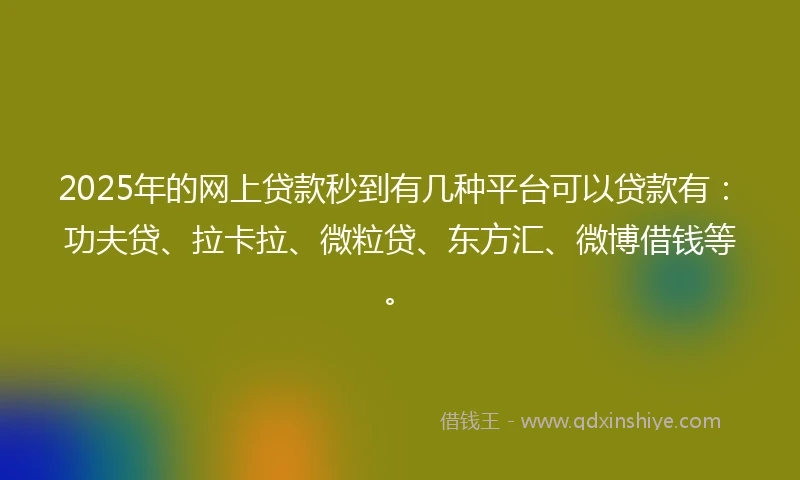2025年的网上贷款秒到有几种平台可以贷款有：功夫贷、拉卡拉、微粒贷、东方汇、微博借钱等。