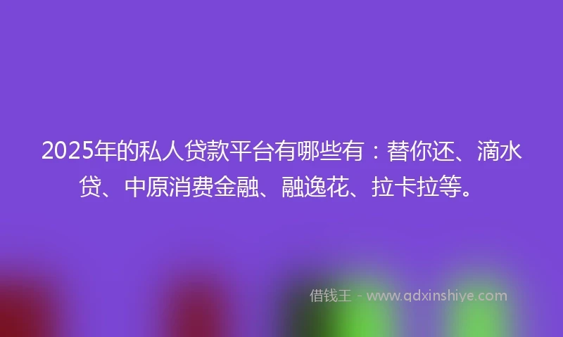 2025年的私人贷款平台有哪些有：替你还、滴水贷、中原消费金融、融逸花、拉卡拉等。